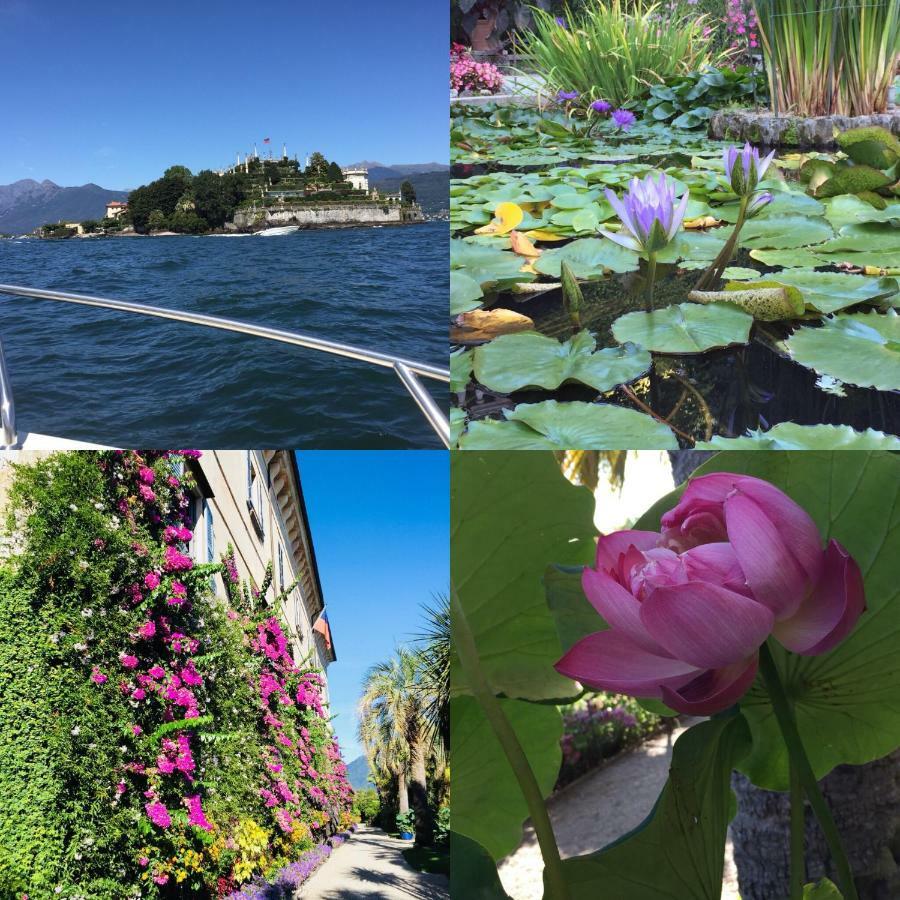 Lakeside Lago Maggiore Monvalle Exterior photo